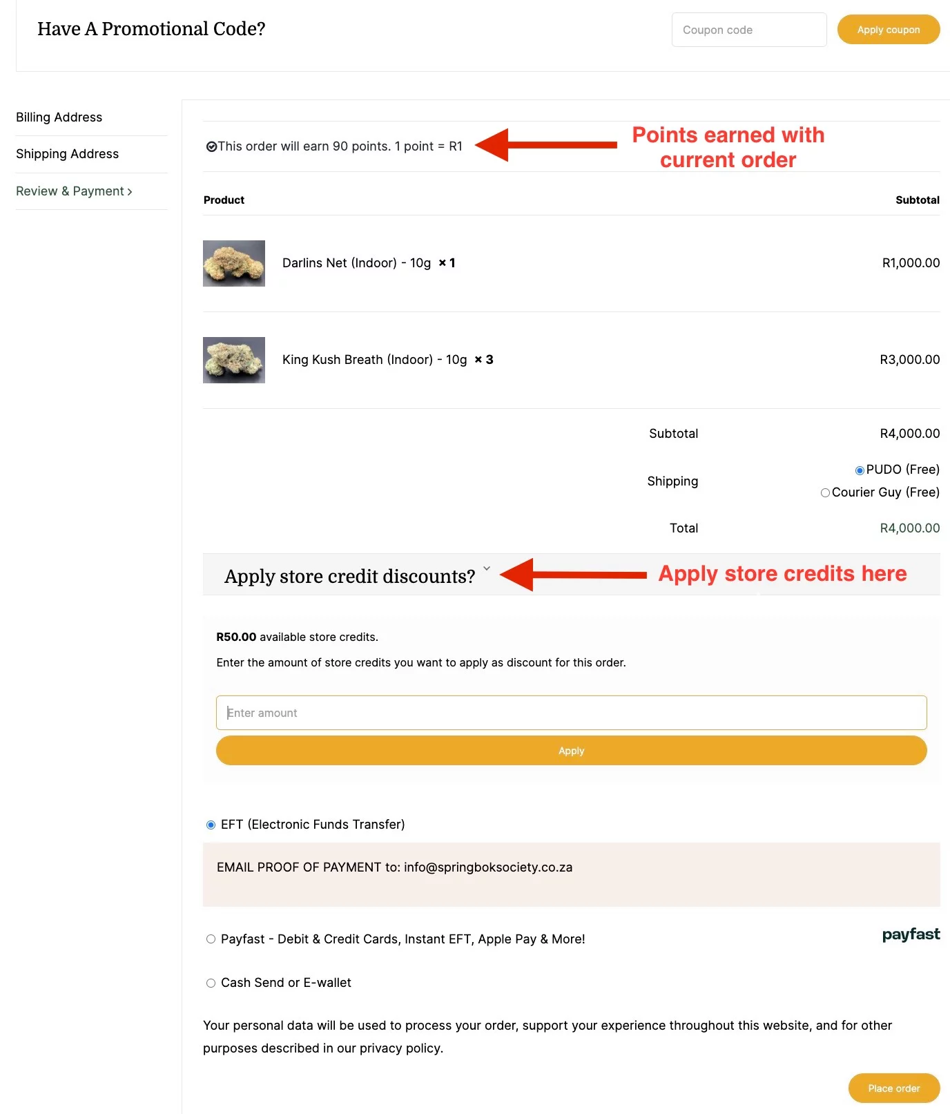 points_checkout